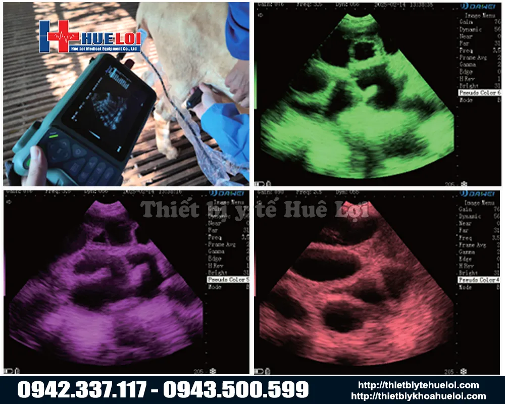 Hình ảnh siêu âm thú y sắc nét với máy siêu âm hiện đại